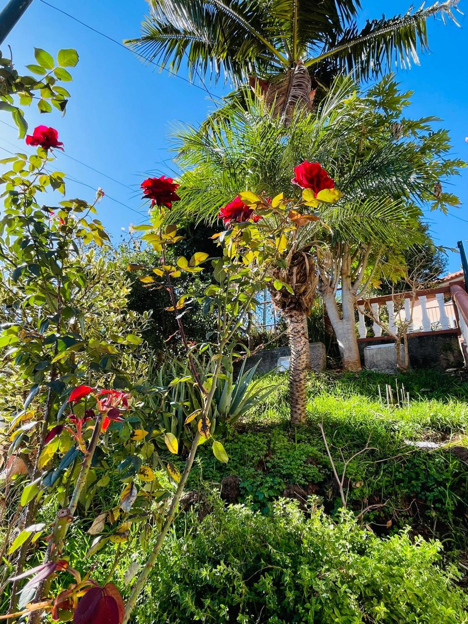 Cozy House Ξενοδοχείο Φουνκάλ Εξωτερικό φωτογραφία